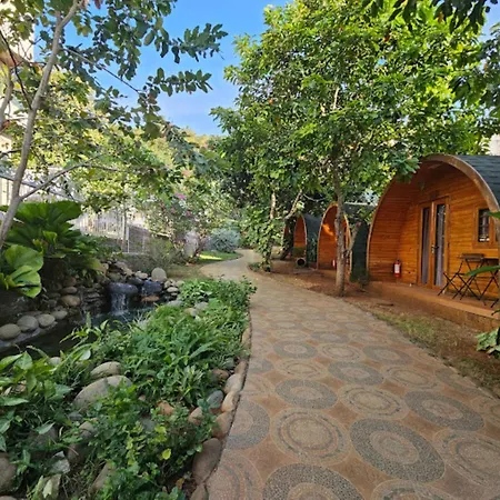 Sea Mountain Bungalow Vung Tau